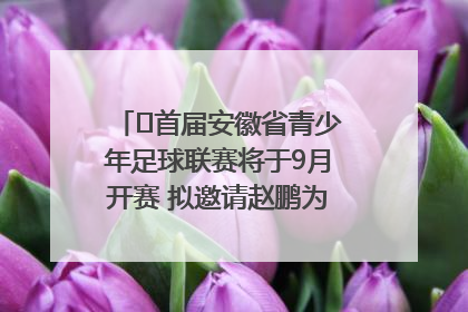 ﻿首届安徽省青少年足球联赛将于9月开赛 拟邀请赵鹏为先导赛开球