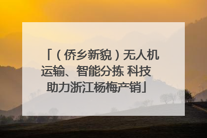 （侨乡新貌）无人机运输、智能分拣 科技助力浙江杨梅产销