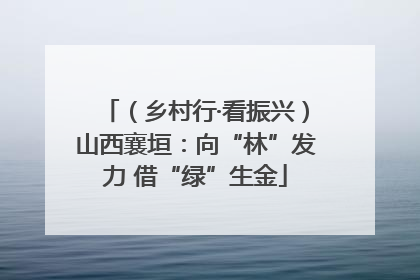 （乡村行·看振兴）山西襄垣：向“林”发力 借“绿”生金