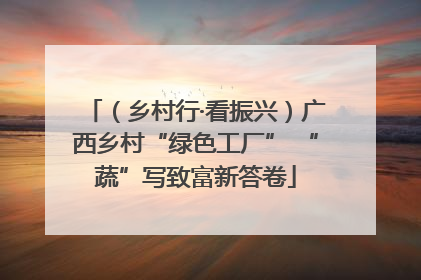 （乡村行·看振兴）广西乡村“绿色工厂” “蔬”写致富新答卷
