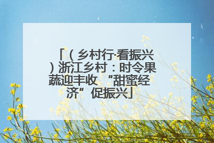 （乡村行·看振兴）浙江乡村：时令果蔬迎丰收 “甜蜜经济”促振兴