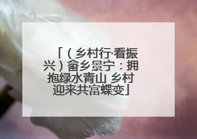（乡村行·看振兴）畲乡景宁：拥抱绿水青山 乡村迎来共富蝶变