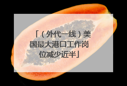 （外代一线）美国最大港口工作岗位减少近半