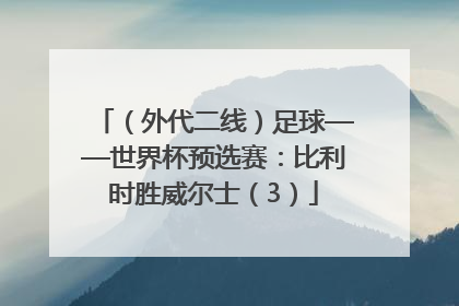 （外代二线）足球——世界杯预选赛：比利时胜威尔士（3）