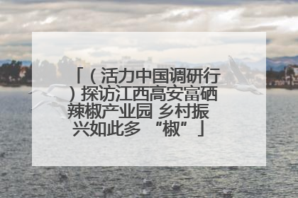 （活力中国调研行）探访江西高安富硒辣椒产业园 乡村振兴如此多 “椒”