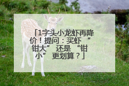 1字头小龙虾再降价！提问：买虾 “钳大” 还是 “钳小” 更划算？