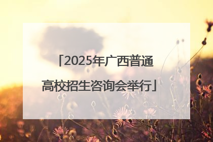 2025年广西普通高校招生咨询会举行