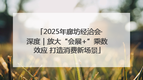 2025年廊坊经洽会·深度｜放大“会展+”乘数效应 打造消费新场景