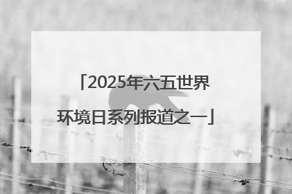 2025年六五世界环境日系列报道之一