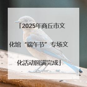 2025年商丘市文化馆“端午节”专场文化活动圆满完成