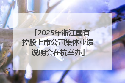 2025年浙江国有控股上市公司集体业绩说明会在杭举办