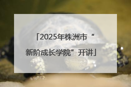 2025年株洲市“新阶成长学院”开讲