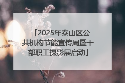 2025年泰山区公共机构节能宣传周暨干部职工摄影展启动