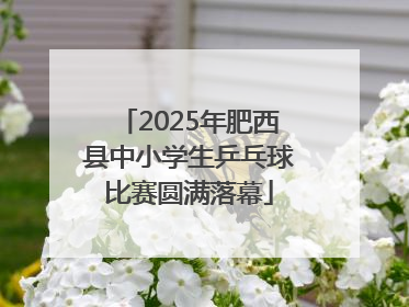 2025年肥西县中小学生乒乓球比赛圆满落幕