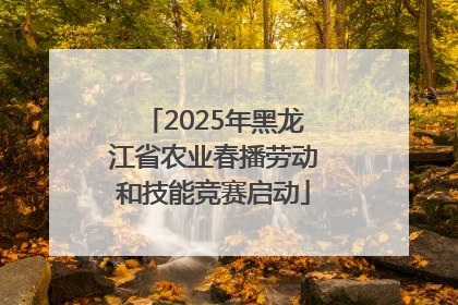 2025年黑龙江省农业春播劳动和技能竞赛启动