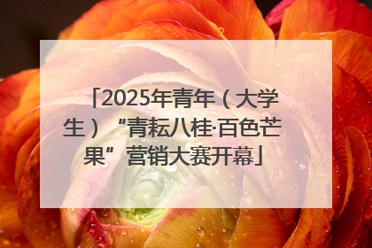 2025年青年（大学生）“青耘八桂·百色芒果”营销大赛开幕