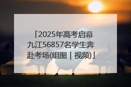 2025年高考启幕 九江56857名学生奔赴考场(组图｜视频)