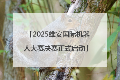 2025雄安国际机器人大赛决赛正式启动