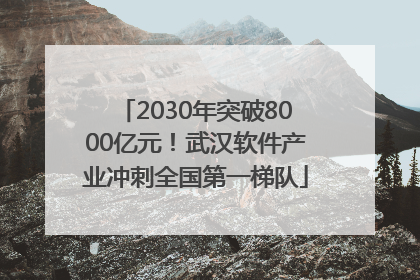 2030年突破8000亿元！武汉软件产业冲刺全国第一梯队