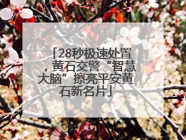 28秒极速处置，黄石交警“智慧大脑”擦亮平安黄石新名片
