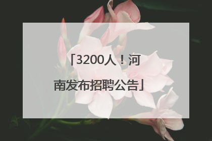 3200人！河南发布招聘公告