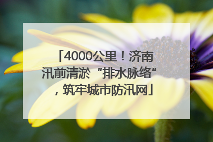 4000公里！济南汛前清淤“排水脉络”，筑牢城市防汛网