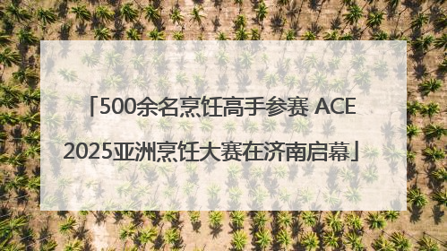 500余名烹饪高手参赛 ACE2025亚洲烹饪大赛在济南启幕