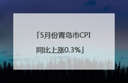 5月份青岛市CPI同比上涨0.3%