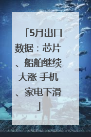 5月出口数据：芯片、船舶继续大涨 手机、家电下滑