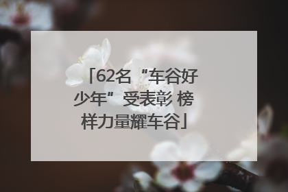 62名“车谷好少年”受表彰 榜样力量耀车谷
