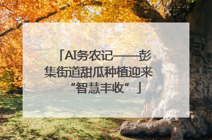 AI务农记——彭集街道甜瓜种植迎来“智慧丰收”