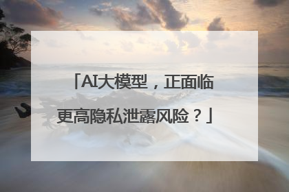 AI大模型，正面临更高隐私泄露风险？