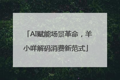 AI赋能场景革命，羊小咩解码消费新范式