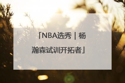 NBA选秀｜杨瀚森试训开拓者