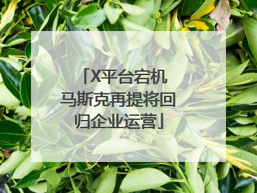 X平台宕机 马斯克再提将回归企业运营